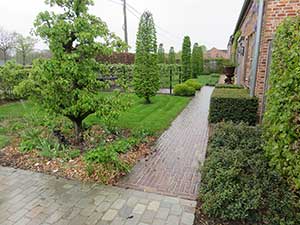tuinaanleg, tuinontwerp, creatief, zwembad terras, natuurstenen, Grobbendonk, Hulshout, Lille