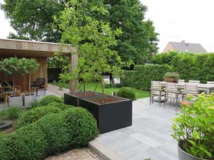 terras aanleggen, creatief, tuinhuis, begijntjes, modern, Lille, Malle, Wijnegem