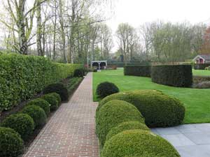 Schrauwen, tuinpad, platines, arduin, modern, Herenthout, Mortsel, Zwijndrecht